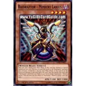 Raidraptor - Mimicry Lanius (Common) – Crossed Souls | Carta YUGIOH en México