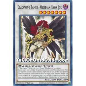 Blackwing Tamer - Obsidian Hawk Joe (Common) – Legendary Duelists: Season 2 | Carta YUGIOH en México