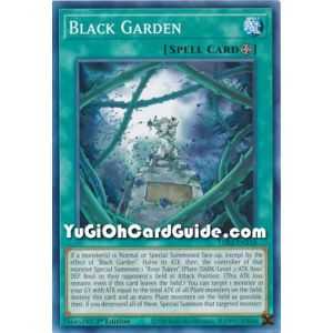 Black Garden (Common) – Legendary Duelists: Season 2 | Carta YUGIOH en México
