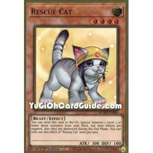 Rescue Cat (Premium Gold Rare) – Maximum Gold El Dorado | Carta YUGIOH en México