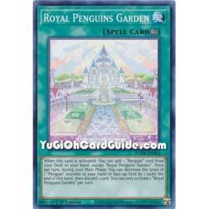 Royal Penguins Garden (Common) – Burst of Destiny | Carta YUGIOH en México