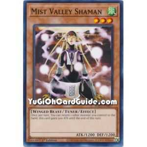 Mist Valley Shaman (Common) – Hidden Arsenal Chapter 1 | Carta YUGIOH en México