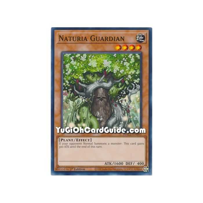 Naturia Guardian (Common) – Hidden Arsenal Chapter 1 | Carta YUGIOH en México