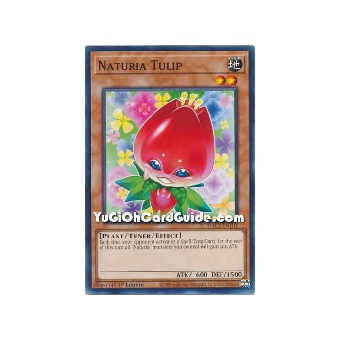Naturia Tulip (Common) – Hidden Arsenal Chapter 1 | Carta YUGIOH en México