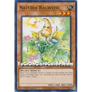 Naturia Ragweed (Common) – Hidden Arsenal Chapter 1 | Carta YUGIOH en México