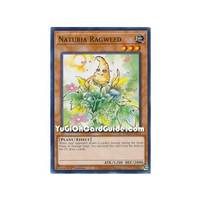 Naturia Ragweed (Common) – Hidden Arsenal Chapter 1 | Carta YUGIOH en México