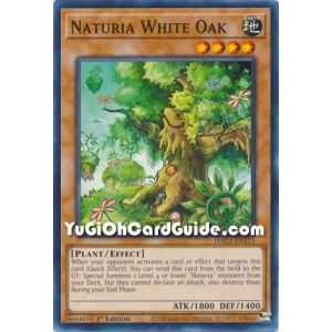 Naturia White Oak (Common) – Hidden Arsenal Chapter 1 | Carta YUGIOH en México