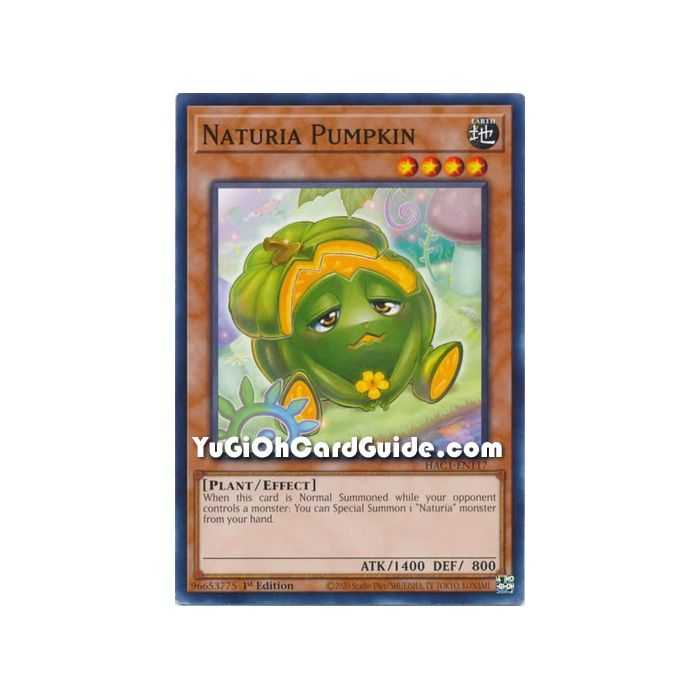 Naturia Pumpkin (Common) – Hidden Arsenal Chapter 1 | Carta YUGIOH en México
