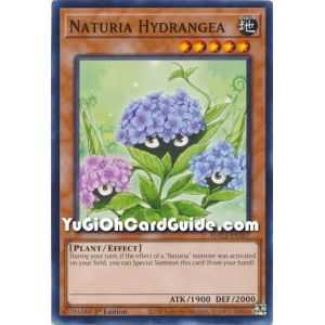 Naturia Hydrangea (Common) – Hidden Arsenal Chapter 1 | Carta YUGIOH en México