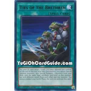 Ties of the Brethren (Rare) – The Grand Creators | Carta YUGIOH en México