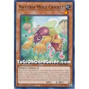Naturia Mole Cricket (Common) – Darkwing Blast | Carta YUGIOH en México