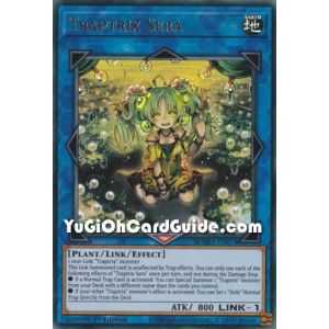 Traptrix Sera (Ultra Rare) – Magnificent Mavens | Carta YUGIOH en México