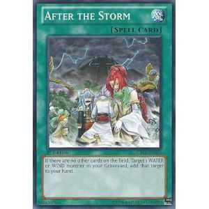 After the Storm (Common)