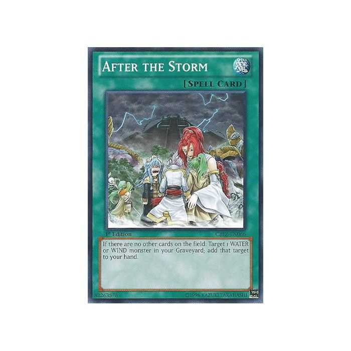 After the Storm (Common)