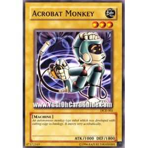 Acrobat Monkey (Common)