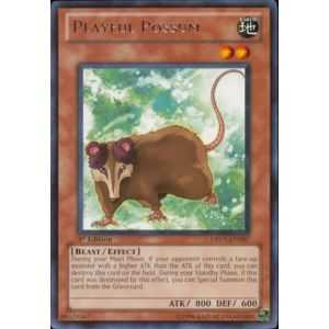 Playful Possum (Rare)