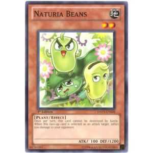 Naturia Beans (Common)