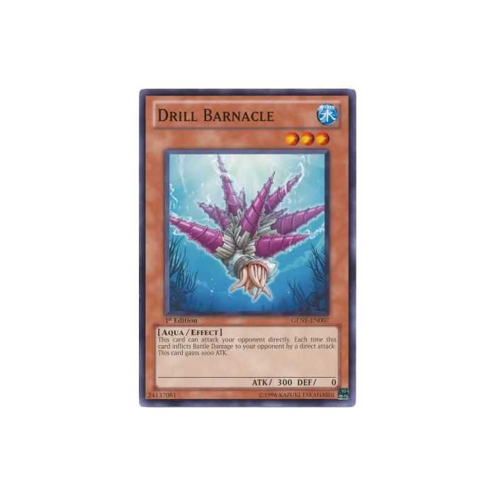 Drill Barnacle (Common)