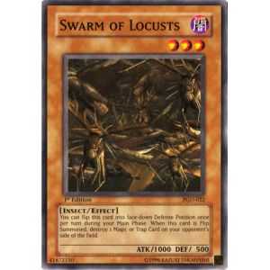 Swarm of Locusts (Common)