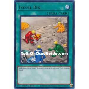 Fossil Dig (Collector Rare) – Wild Survivors | Carta YUGIOH en México