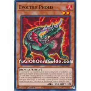 Evoltile Pholis (Common)