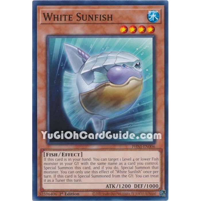 White Sunfish (Common)