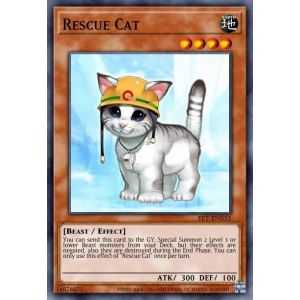 Rescue Cat (Prismatic Collector Rare) – YGO 25th Anniversary Rarity Collection II | Carta YUGIOH en México