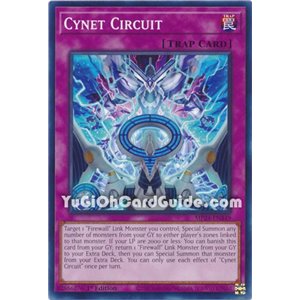 Cynet Circuit (Common)