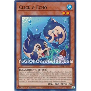 Click & Echo (Common)