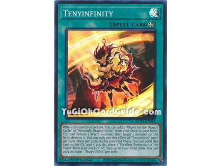Tenyinfinity (Super Rare)