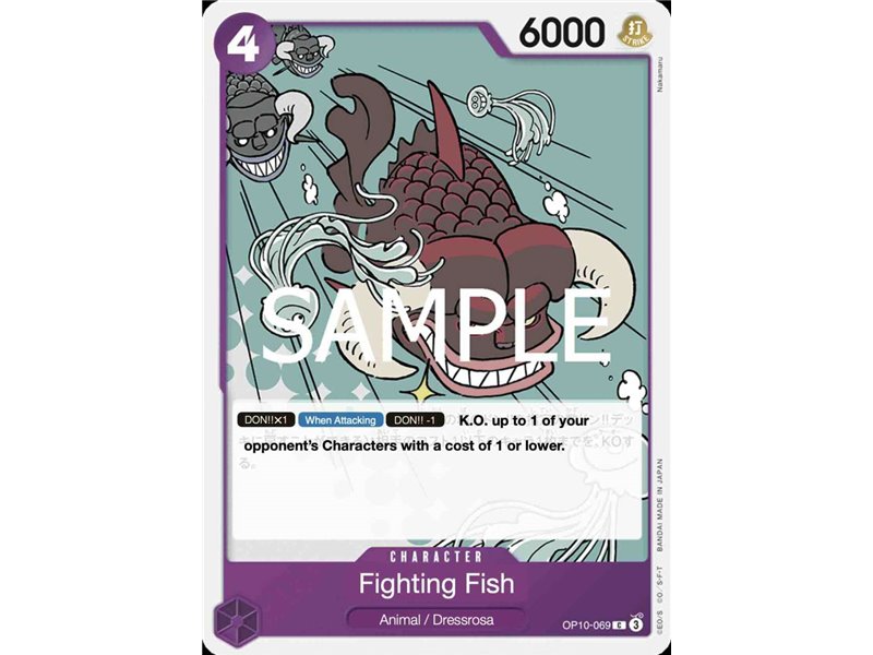 Fighting Fish (Common)