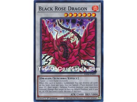 Black Rose Dragon (Platinum Secret Rare)