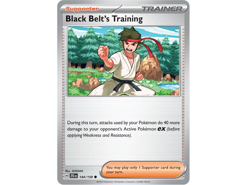 Black Belt's Training (Common/Reverse Holofoil)