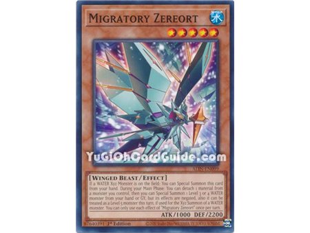 Migratory Zereort (Common)