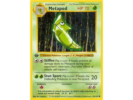 Metapod (Common)