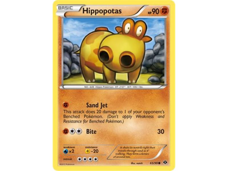 Hippopotas (Common)