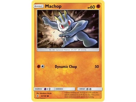 Machop (Common/Reverse Holofoil)