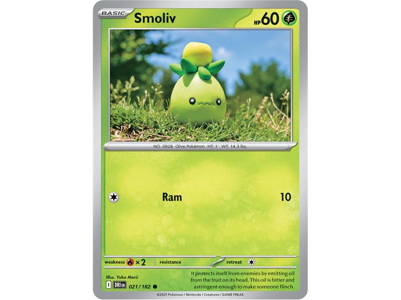 Smoliv  (Common)