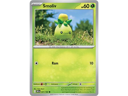 Smoliv  (Common)