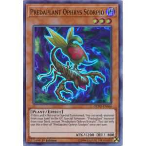 Predaplant Ophrys Scorpio