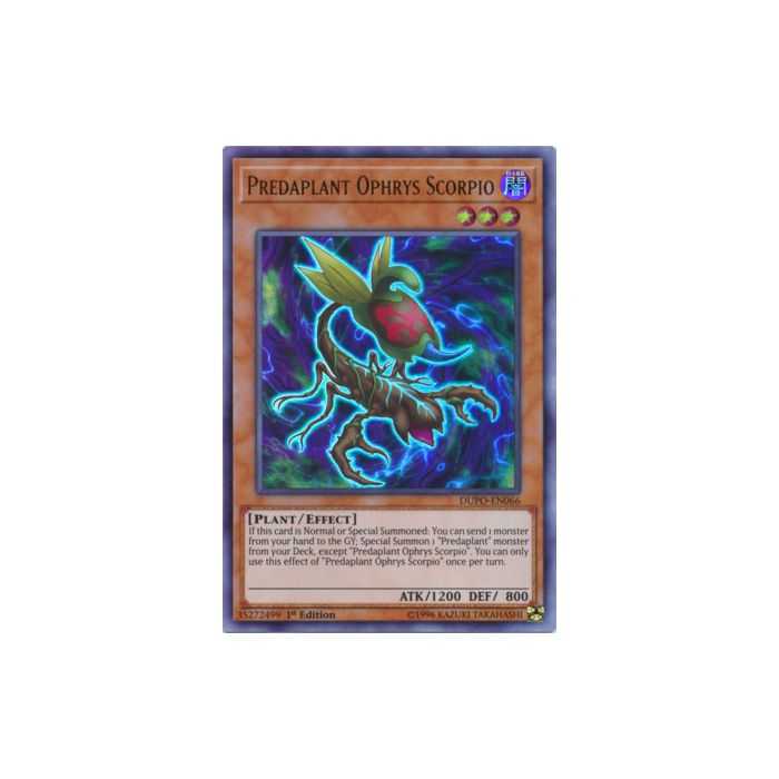 Predaplant Ophrys Scorpio