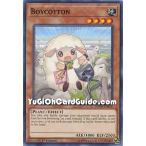 Boycotton (Common) – 2019 Gold Sarcophagus Mega Pack | Carta YUGIOH en México