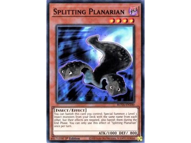 Splitting Planarian (Ultra Rare)