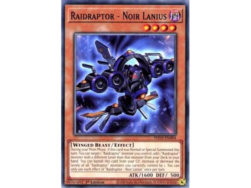 Raidraptor - Noir Lanius (Common)