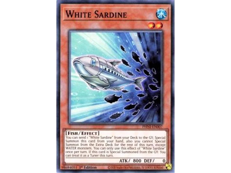 White Sardine (Common)