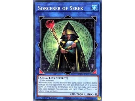 Sorcerer of Sebek (Common)