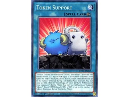 Token Support (Common)