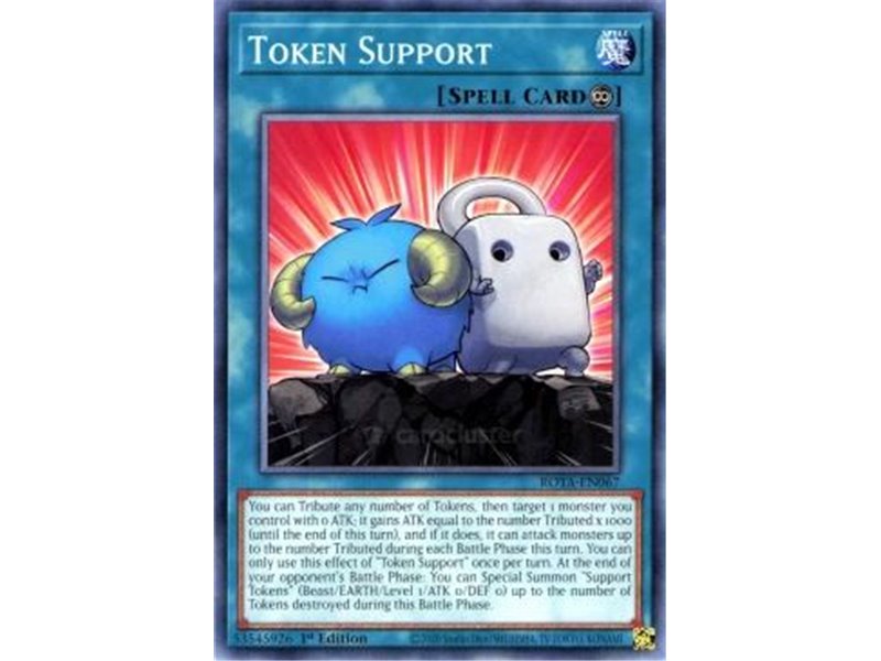 Token Support (Common)