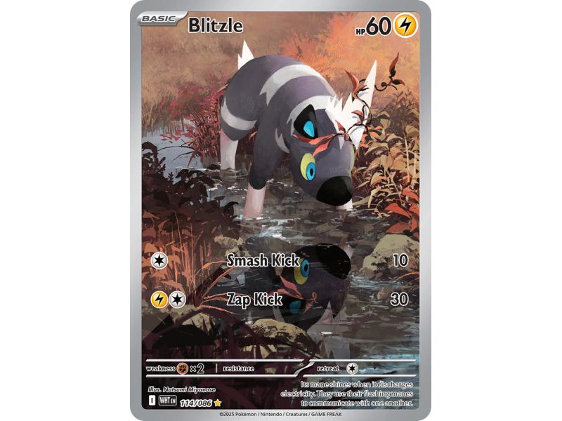 Blitzle (Illustration Rare) – SV10.5 White Flare | Carta POKEMON en México