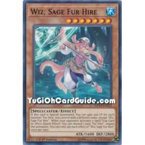 Wiz, Sage Fur Hire (Common) – 2019 Gold Sarcophagus Mega Pack | Carta YUGIOH en México
